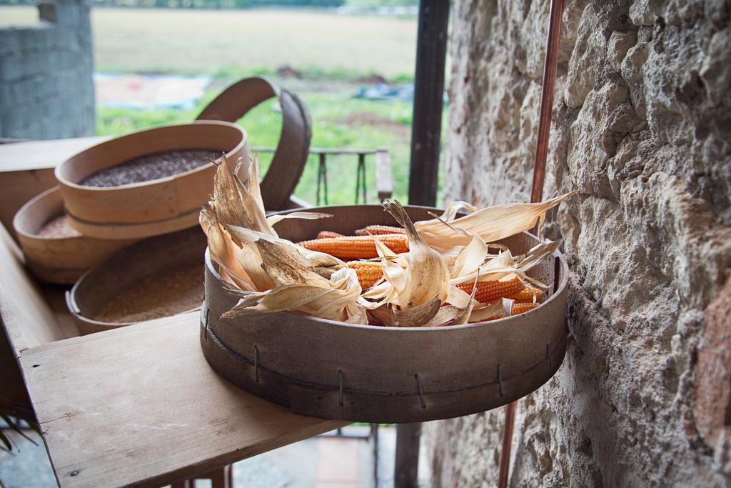 Don Carlo Agriturismo Di Charme Bio Villa Le Pioppe Eksteriør billede