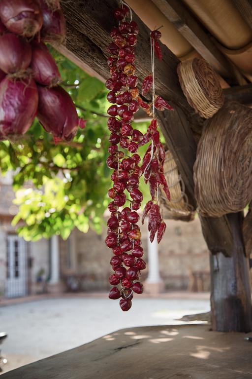 Don Carlo Agriturismo Di Charme Bio Villa Le Pioppe Eksteriør billede