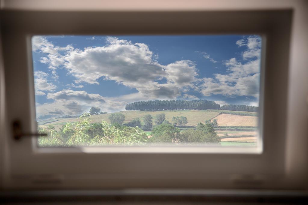 Don Carlo Agriturismo Di Charme Bio Villa Le Pioppe Eksteriør billede