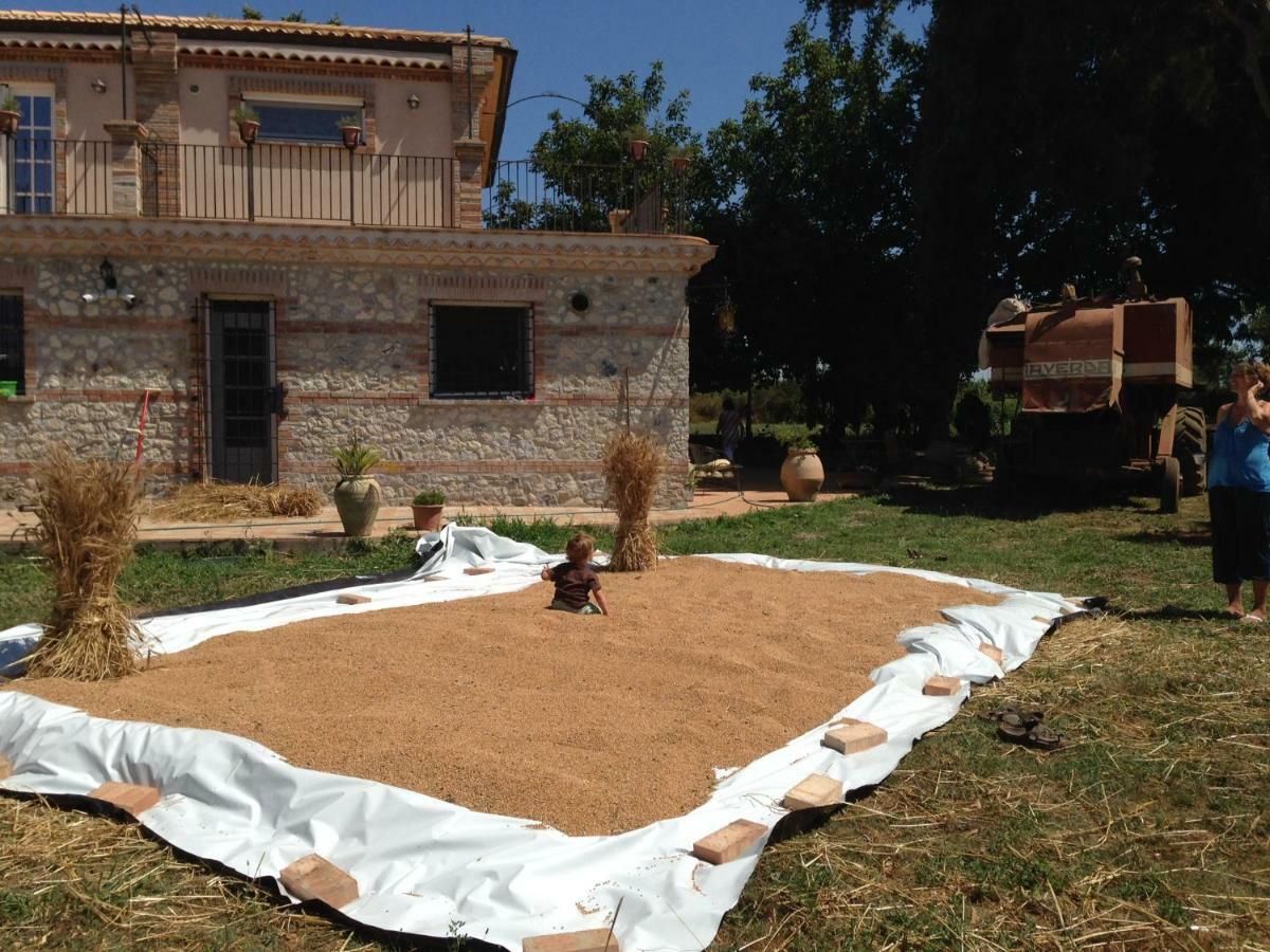 Don Carlo Agriturismo Di Charme Bio Villa Le Pioppe Eksteriør billede