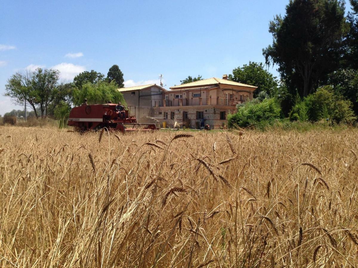 Don Carlo Agriturismo Di Charme Bio Villa Le Pioppe Eksteriør billede